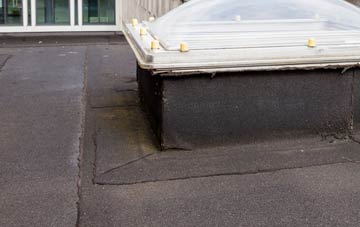 disadvantages of Highleadon flat roofs