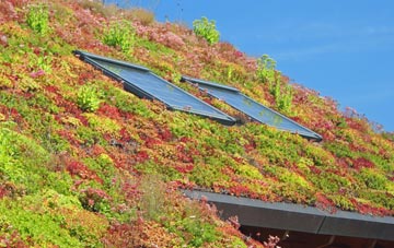Highleadon living roof systems